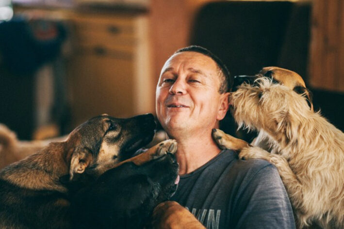 Un uomo, in Serbia, ha salvato più di 1.000 cani dalla strada e dai maltrattatamenti