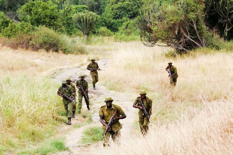 Strage di Rangers, difensori del Parco Nazionale congolese di Virunga, ultimo paradiso dei gorilla di montagna